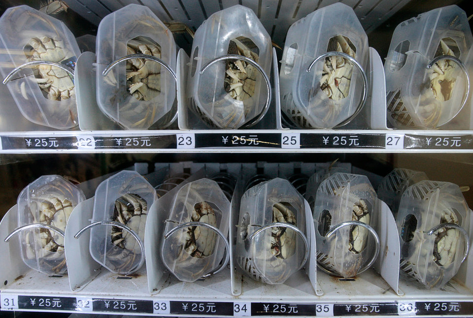 自動售貨機(jī),自動售賣機(jī),自動售貨機(jī)價格,廣州售貨機(jī),無人售貨機(jī),智能自動售貨機(jī)加盟,自動販賣機(jī),飲料自動售貨機(jī),廣州富宏智能售貨機(jī)